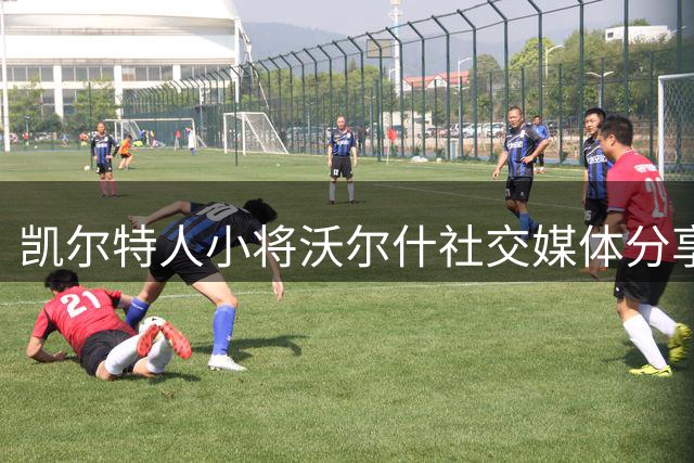 凯尔特人小将沃尔什社交媒体分享比赛瞬间